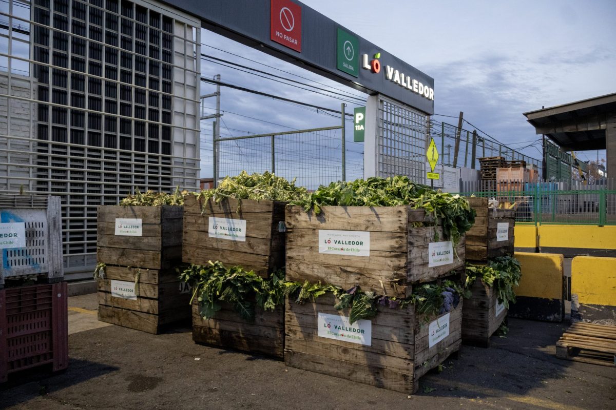 AYUDA A COQUIMBO- MERCADO LO VALLEDOR (2)