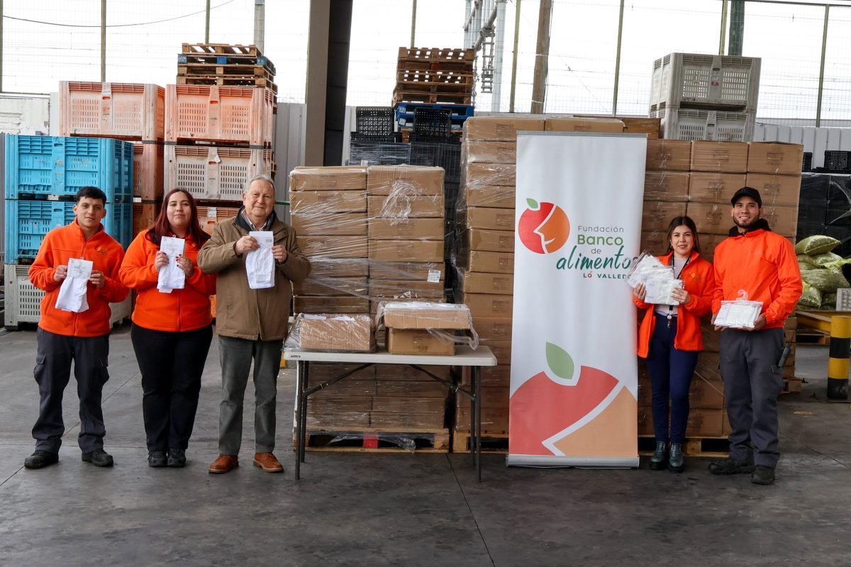 AYUDA A COQUIMBO- MERCADO LO VALLEDOR (3)