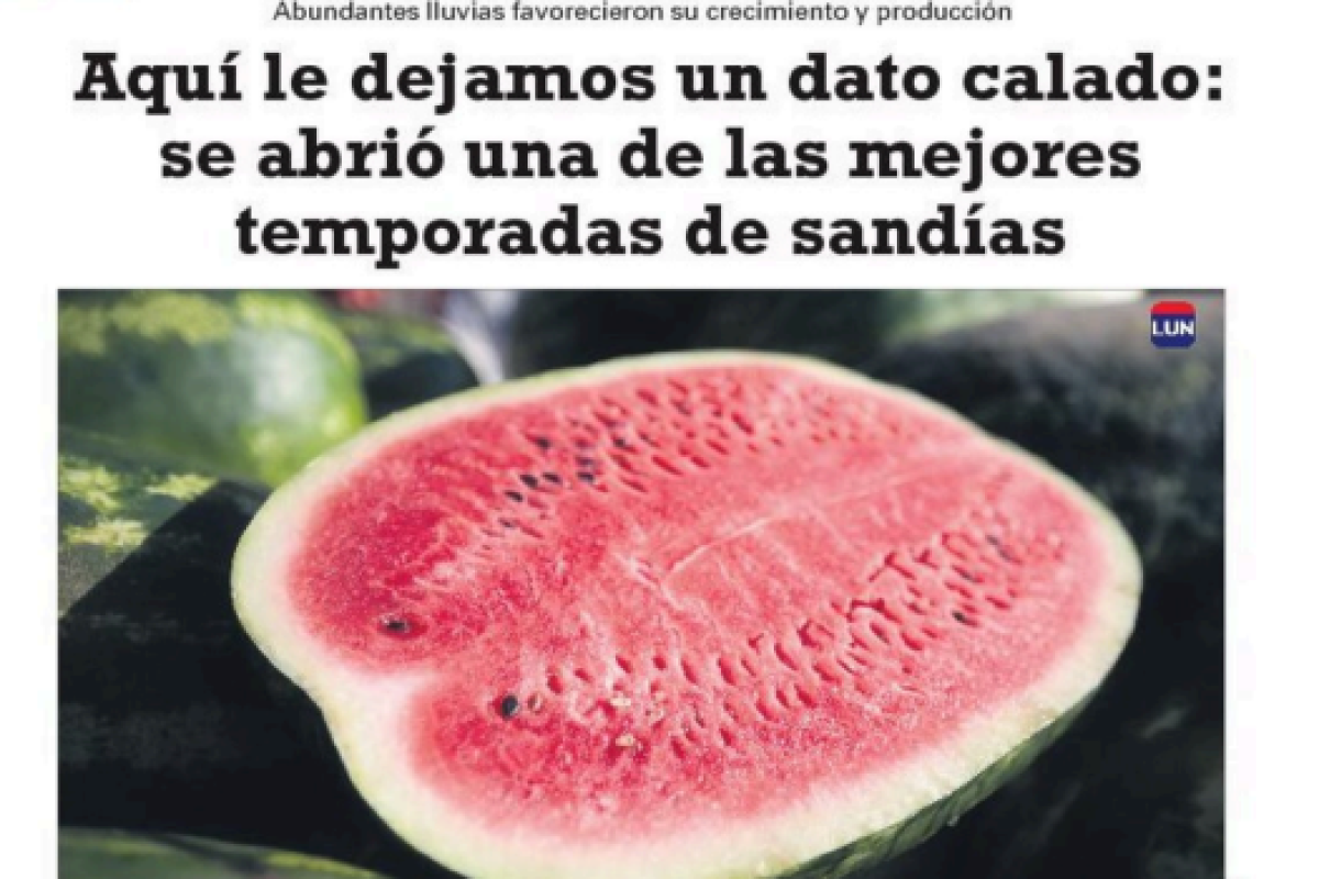 Captura-de-pantalla-2024-12-30-161859.png