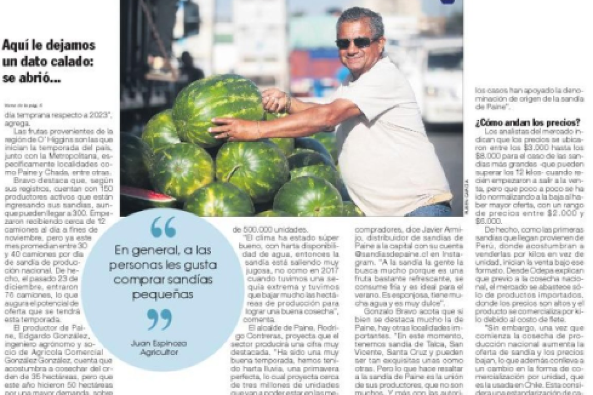 Captura-de-pantalla-2024-12-30-163543.png
