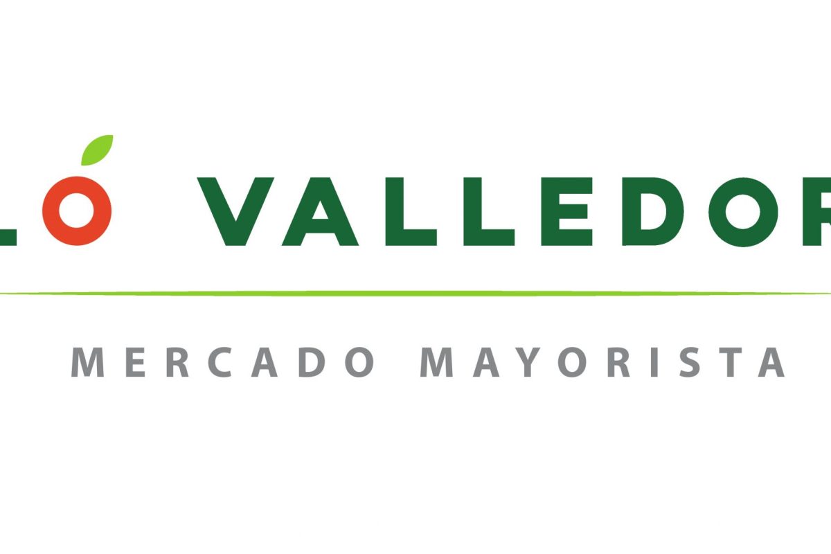 LOGO-LO-VALLEDOR-COLOR-RECTIFICADO-scaled-1.jpg