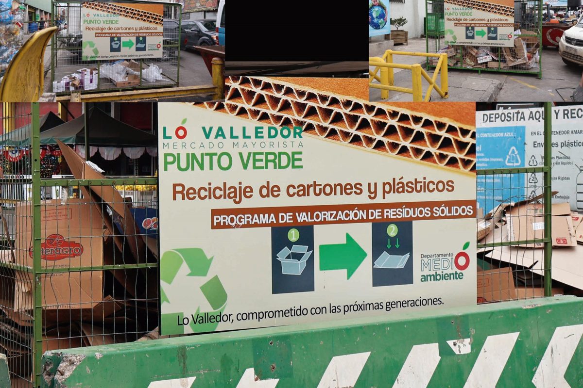 NEWSLETTER-NUEVAS-JAULAS-RECICLAJE.jpg