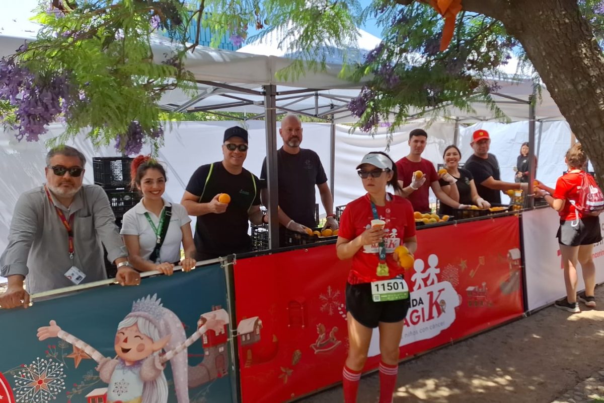 WhatsApp Image 2025-12-01 at 09.27.41