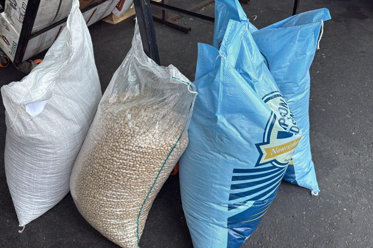 WhatsApp Image 2026-01-21 at 1.24.23 PM