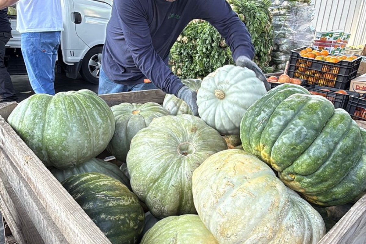 WhatsApp Image 2026-01-21 at 10.47.45 AM