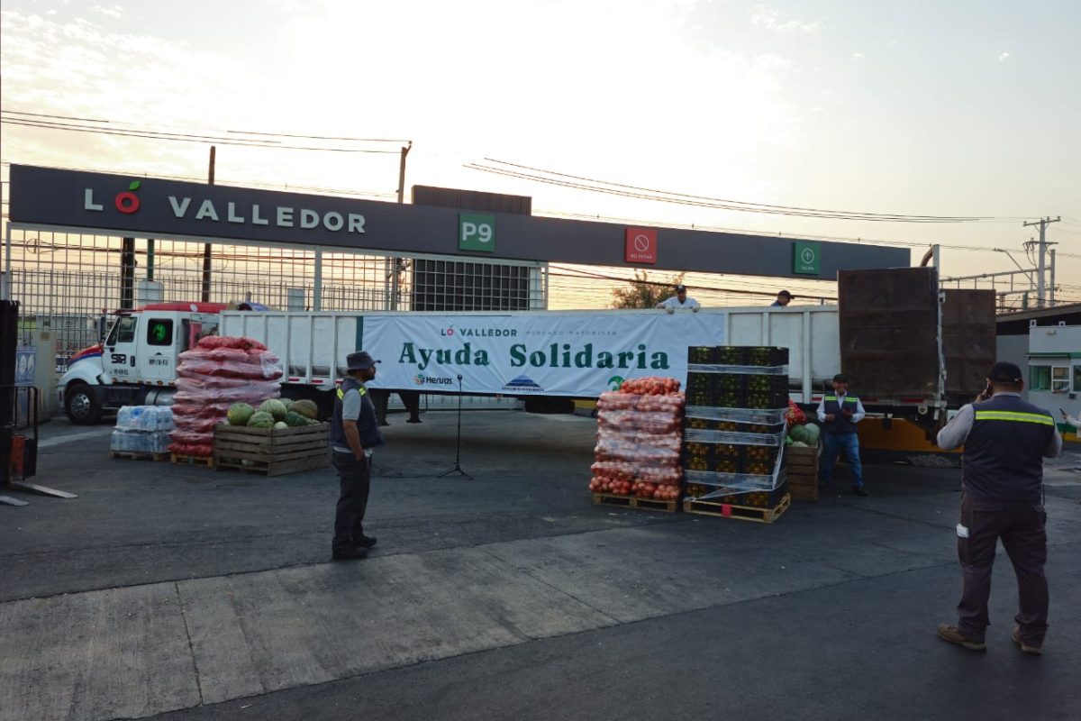 WhatsApp Image 2026-01-22 at 7.22.22 AM