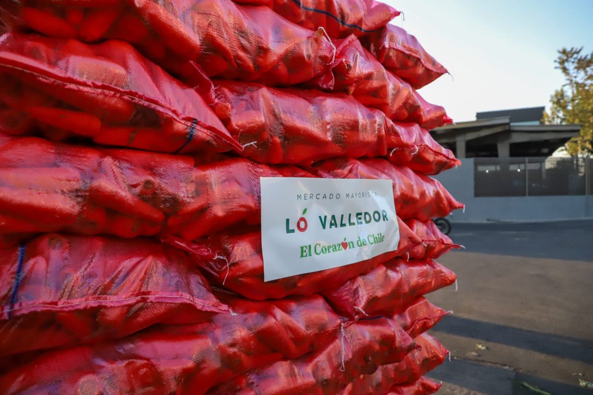 WhatsApp Image 2026-01-29 at 8.30.04 AM