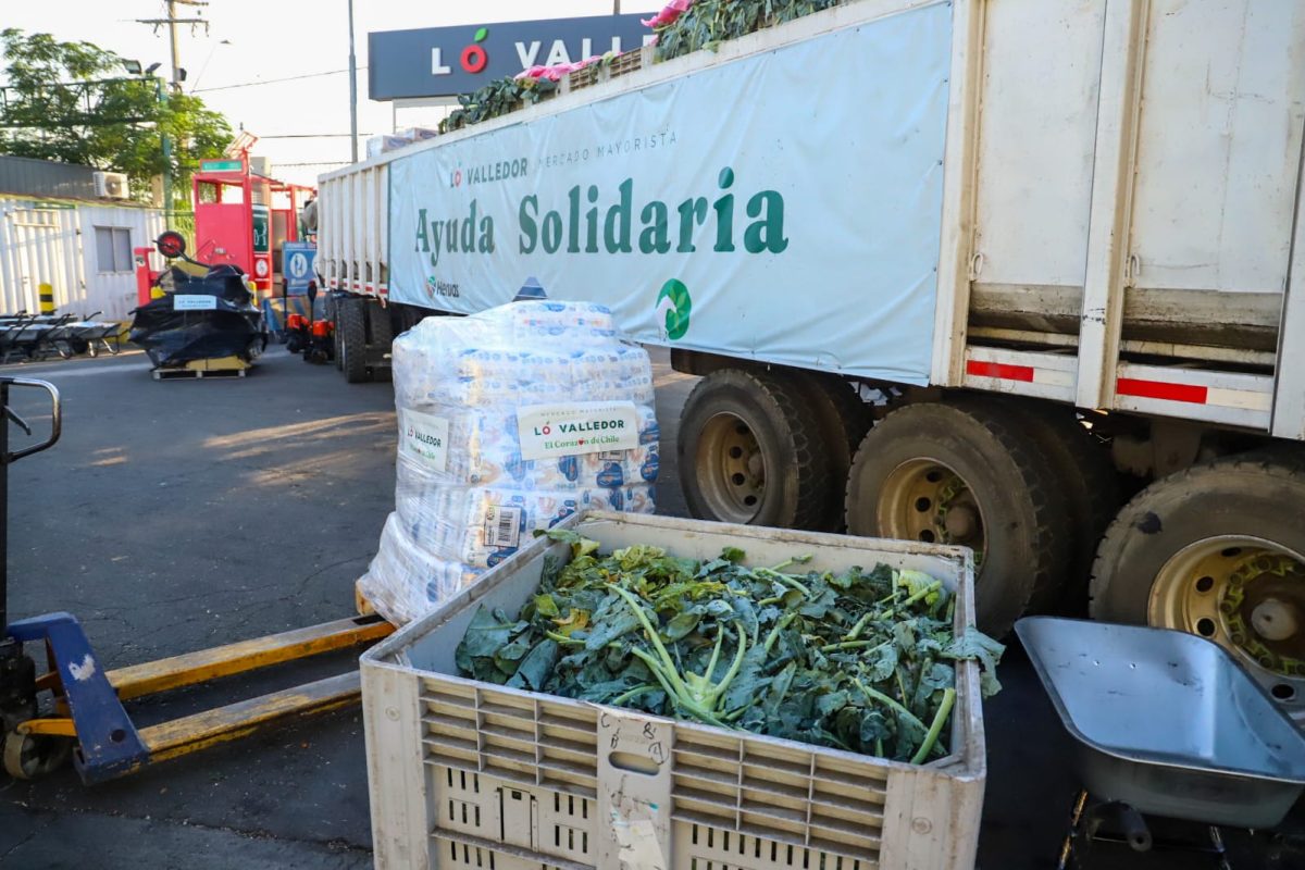 WhatsApp Image 2026-01-29 at 8.30.05 AM (2)