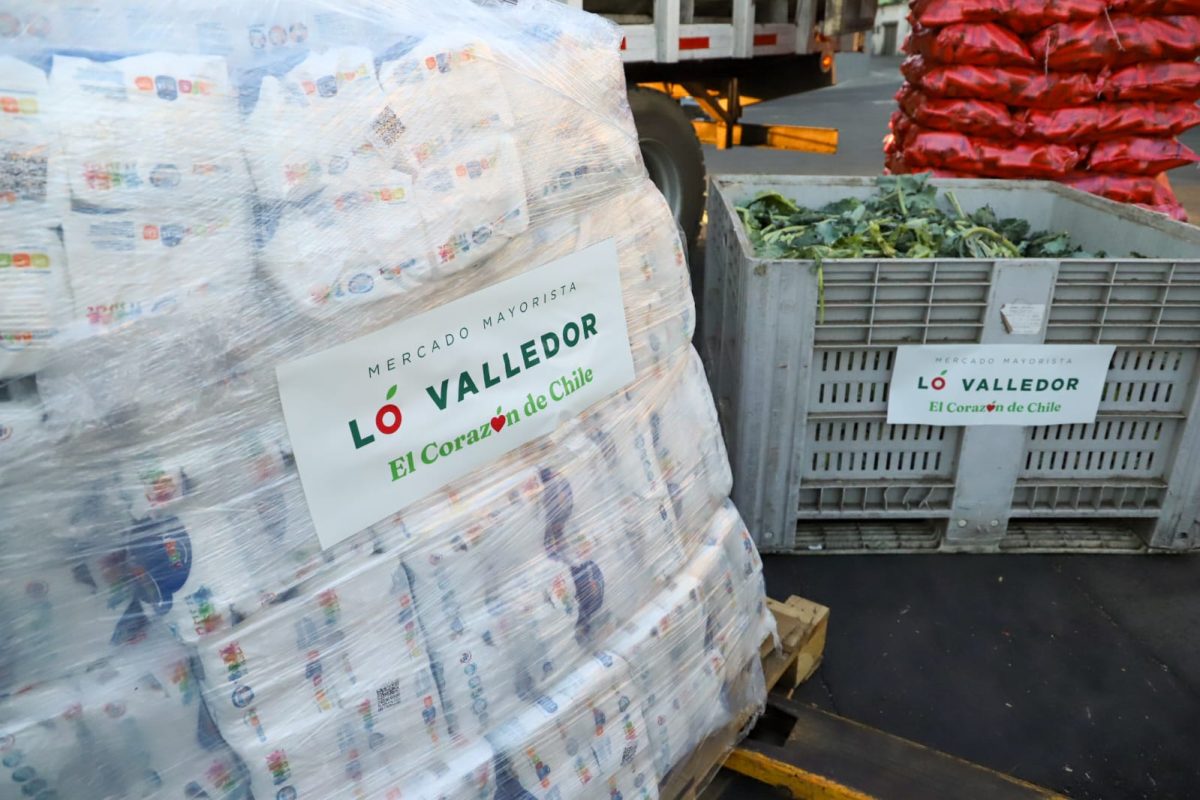 WhatsApp Image 2026-01-29 at 8.30.05 AM