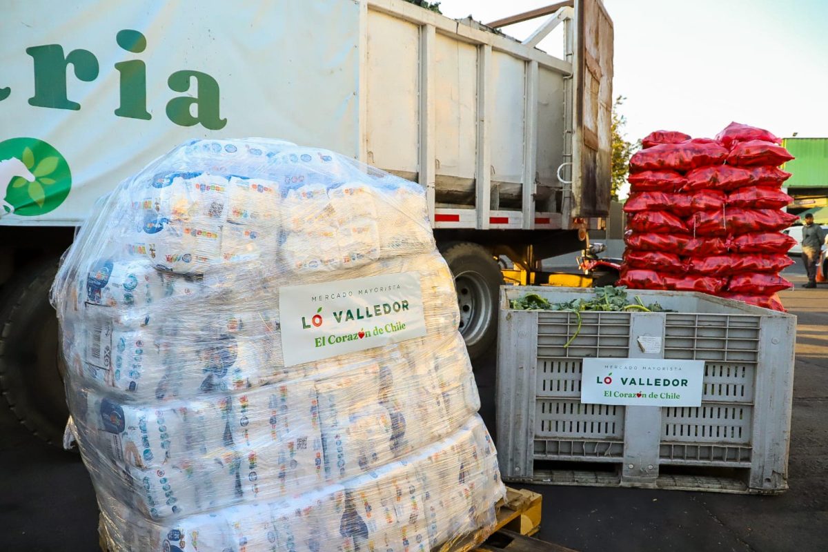 WhatsApp Image 2026-01-29 at 8.30.07 AM