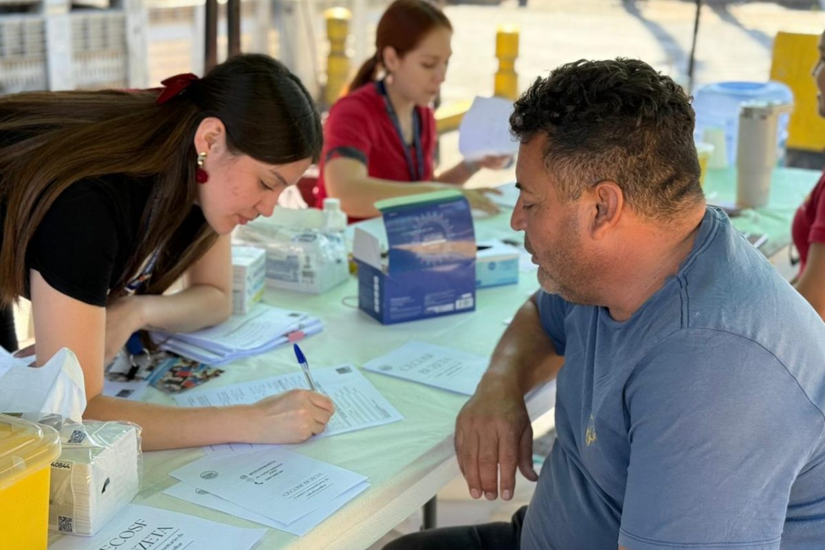 WhatsApp Image 2026-02-11 at 11.45.09