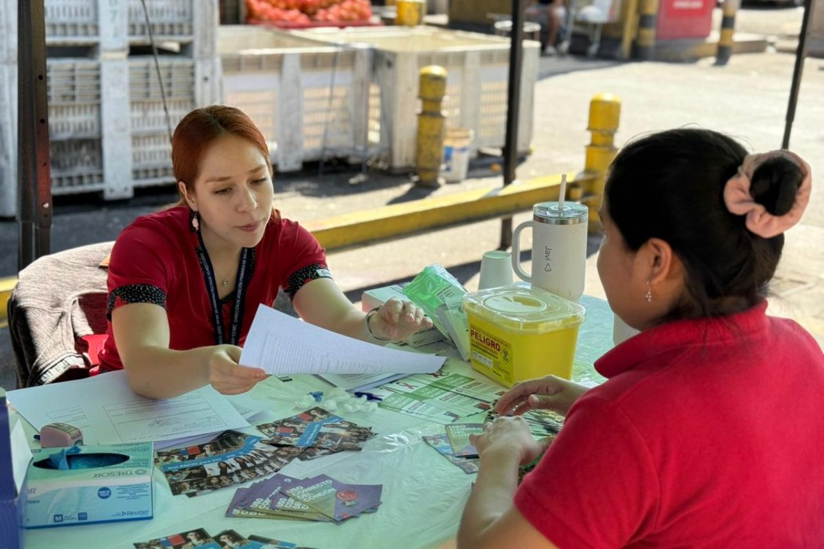 WhatsApp Image 2026-02-11 at 11.45.10