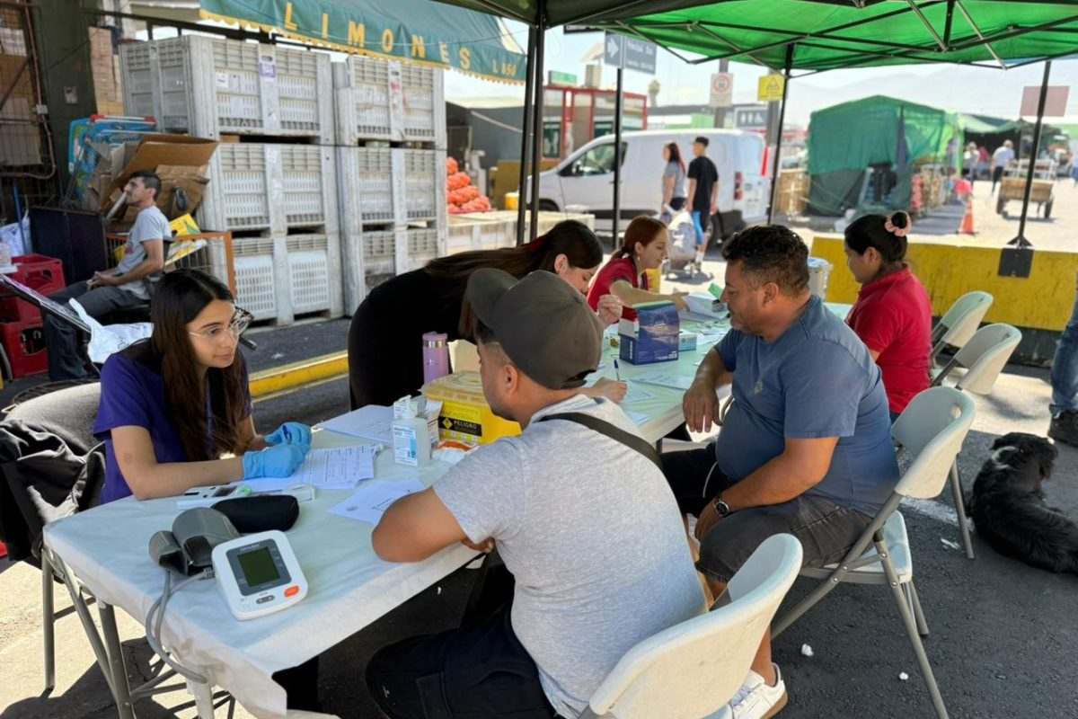 WhatsApp Image 2026-02-11 at 11.45.107