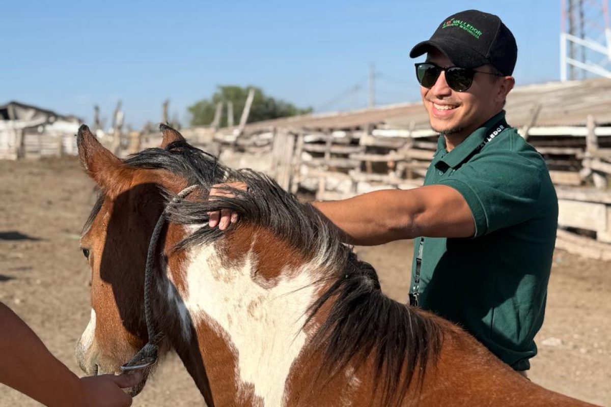 WhatsApp Image 2026-04-09 at 16.03.06