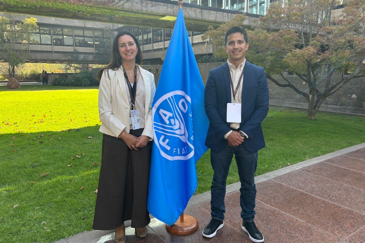 WhatsApp Image 2026-04-13 at 15.08.00