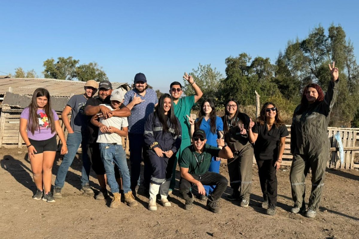 WhatsApp Image 2026-04-14 at 11.05.09