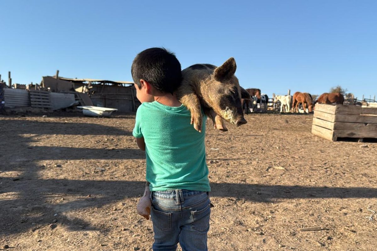 WhatsApp Image 2026-04-14 at 13.04.27