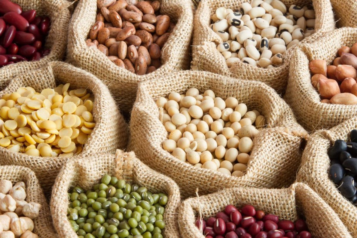 las-legumbres-han-sido-uno-de-los-alimentos-nutritivos-de-la-naturaleza-mas-consumidos-desde-hace-miles-de-anos_d8daa684_1280x720.jpg
